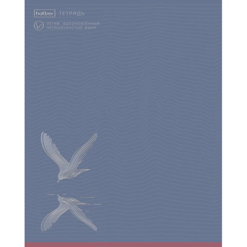 Тетрадь А5, 48 л., HATBER, скоба, клетка, soft-touch ламинация, 3D-фольга,