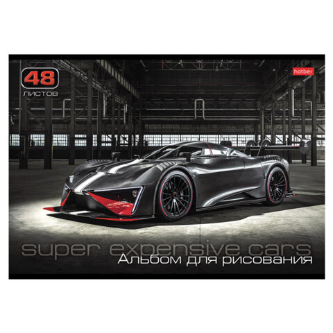 Альбом для рисования А4 48 л., скоба, обложка картон, HATBER, 205х290 мм,