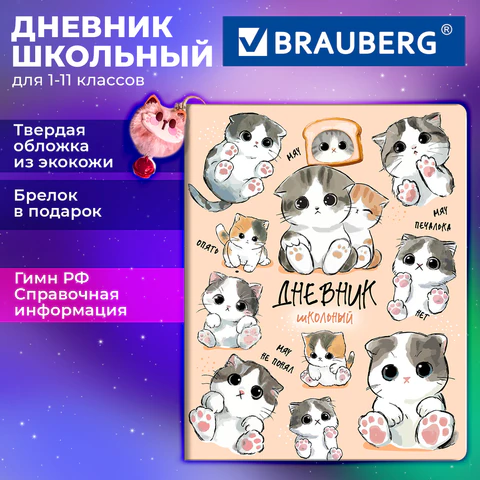 Дневник 1-11 класс 48 л., обложка кожзам (твердая с поролоном), печать, брелок,