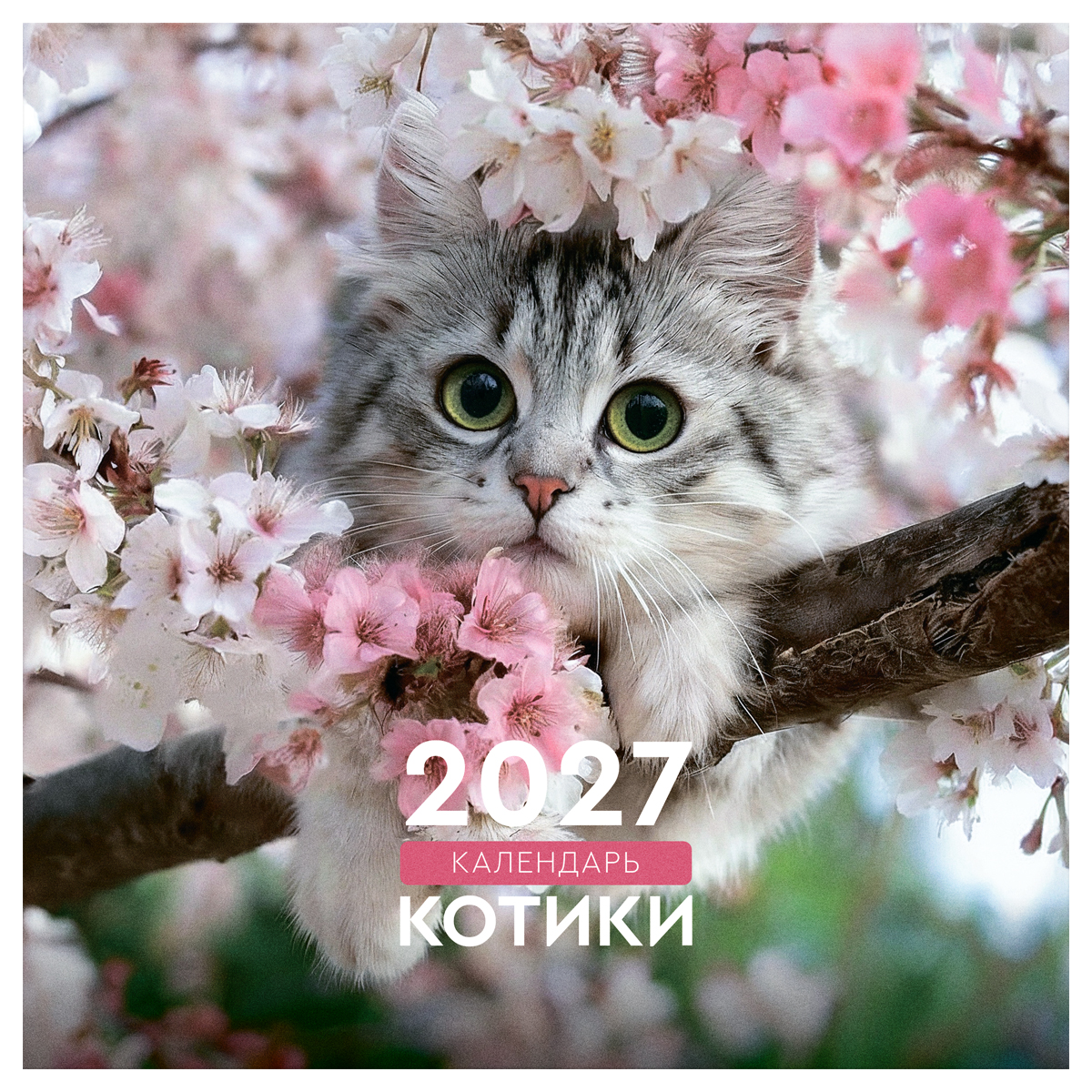 Календарь настенный перекидной на скрепке, 230*230 мм 12л. BG Календарь настенный перекидной на скрепке, 230*230 мм 12л. BG