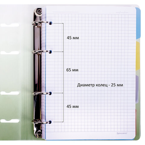 Тетрадь на кольцах А5 175х220мм, 120л, пластик, с разделителями, BRAUBERG,