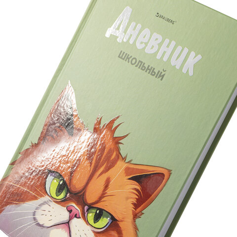 Дневник 5-11 класс 48 л., твердый, BRAUBERG, выборочный лак, с подсказом,