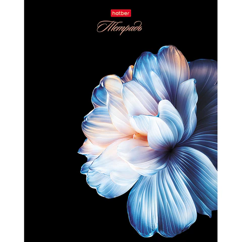 Тетрадь А5, 96 л., HATBER, скоба, клетка, soft-touch ламинация, 3D-лак, Тетрадь А5, 96 л., HATBER, скоба, клетка, soft-touch ламинация, 3D-лак,