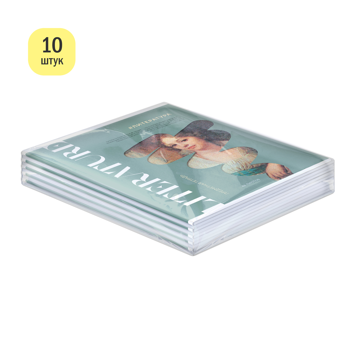 Тетрадь предметная 48л. ArtSpace "Коллаборация" - Литература, матовая