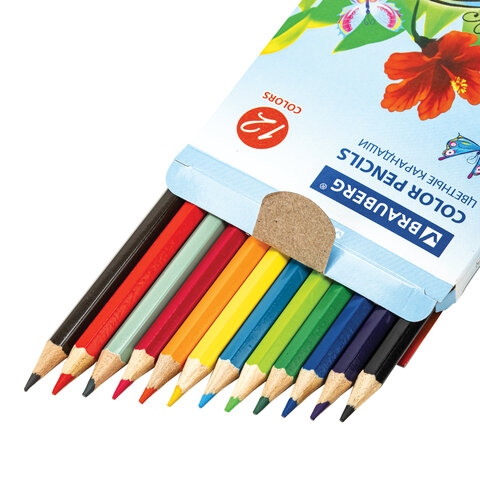 Карандаши цветные BRAUBERG "Wonderful butterfly", 12 цветов,