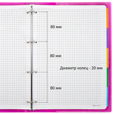 Тетрадь на кольцах БОЛЬШАЯ А4, 305х235 мм, 120 л., пластик, разделители, Тетрадь на кольцах БОЛЬШАЯ А4, 305х235 мм, 120 л., пластик, разделители,