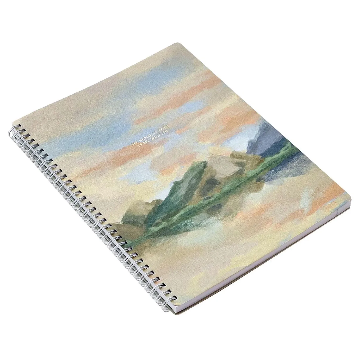 Бизнес-тетрадь, А4, 96 листов, клетка, спираль Be Smart, View N3406