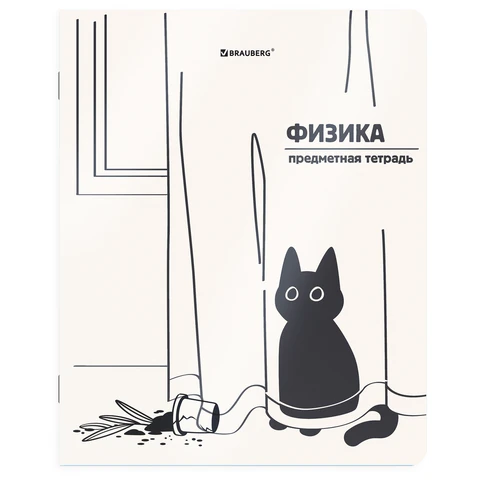 Тетрадь предметная КОТ-НЕПОСЕДА 48 л., пластиковая обложка, ФИЗИКА, клетка, Тетрадь предметная КОТ-НЕПОСЕДА 48 л., пластиковая обложка, ФИЗИКА, клетка,