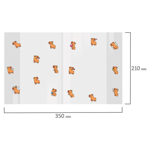 Обложки "CAPYBARAS" для тетрадей и дневников, КОМПЛЕКТ 10 шт., Обложки "CAPYBARAS" для тетрадей и дневников, КОМПЛЕКТ 10 шт.,