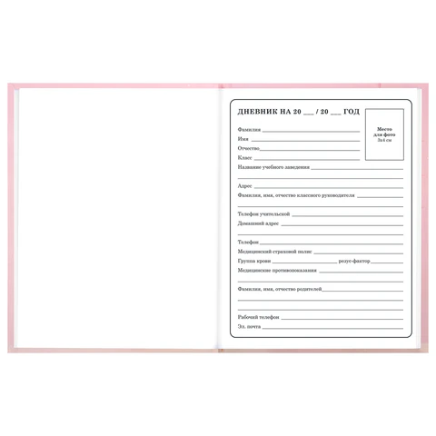Дневник 1-4 класс 48 л., твердый, BRAUBERG, выборочный лак, с подсказом,