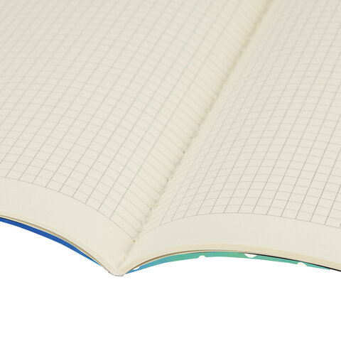 Тетрадь 60 л. в клетку обложка SoftTouch, бежевая бумага 70 г/м2, сшивка, В5