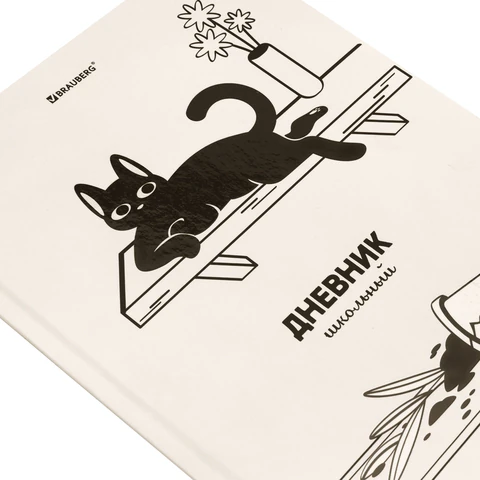 Дневник 5-11 класс 48 л., твердый, BRAUBERG, выборочный лак, с подсказом,