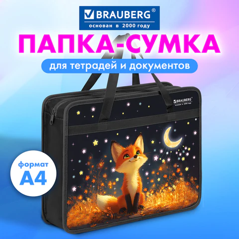 Папка на молнии с ручками BRAUBERG А4, 1 отделение, пластик, 80 мм, Папка на молнии с ручками BRAUBERG А4, 1 отделение, пластик, 80 мм,