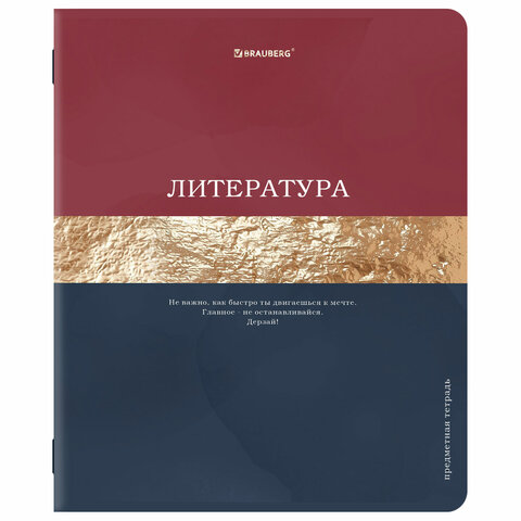 Тетради предметные, КОМПЛЕКТ 12 ПРЕДМЕТОВ, 48 л., матовая ламинация, фольга,