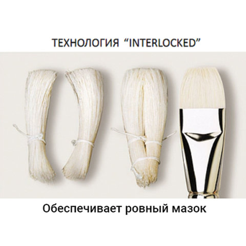 Кисть художественная профессиональная BRAUBERG ART "CLASSIC", щетина, Кисть художественная профессиональная BRAUBERG ART "CLASSIC", щетина,