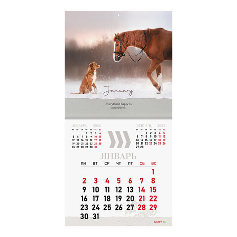 Календарь настенный перекидной 2023 г., 12 листов, 29х29 см, "DOGS",