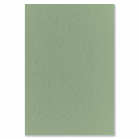 Бумага для пастели А4 в папке, 20 листов, 5 цветов, 180 г/м2, BRAUBERG ART