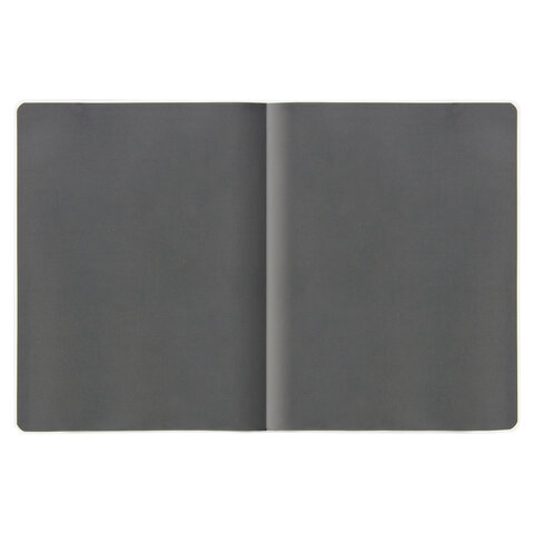 Дневник 1-4 класс 48 л., обложка кожзам (гибкая), печать, фольга, ЮНЛАНДИЯ,