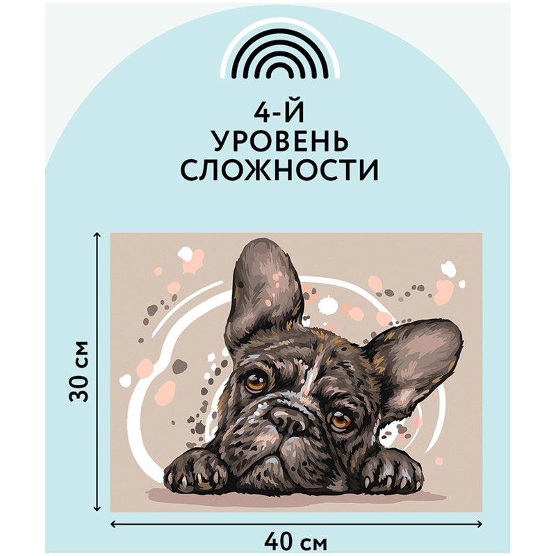 Картина по номерам на картоне ТРИ СОВЫ "Французский бульдог", 30*40, с