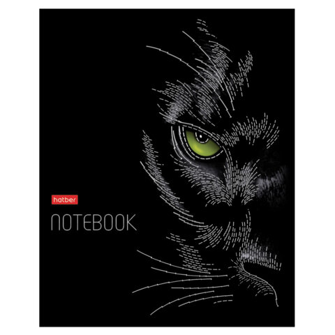 Тетрадь А5 48 л., HATBER скоба, клетка, матовая ламинация, 3D-фольга, Тетрадь А5 48 л., HATBER скоба, клетка, матовая ламинация, 3D-фольга,