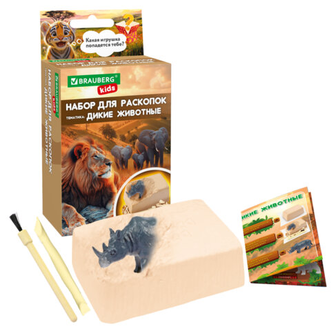 Набор для раскопок 8,5х16 см, карточка, инструменты, 3 вида ассорти, BRAUBERG