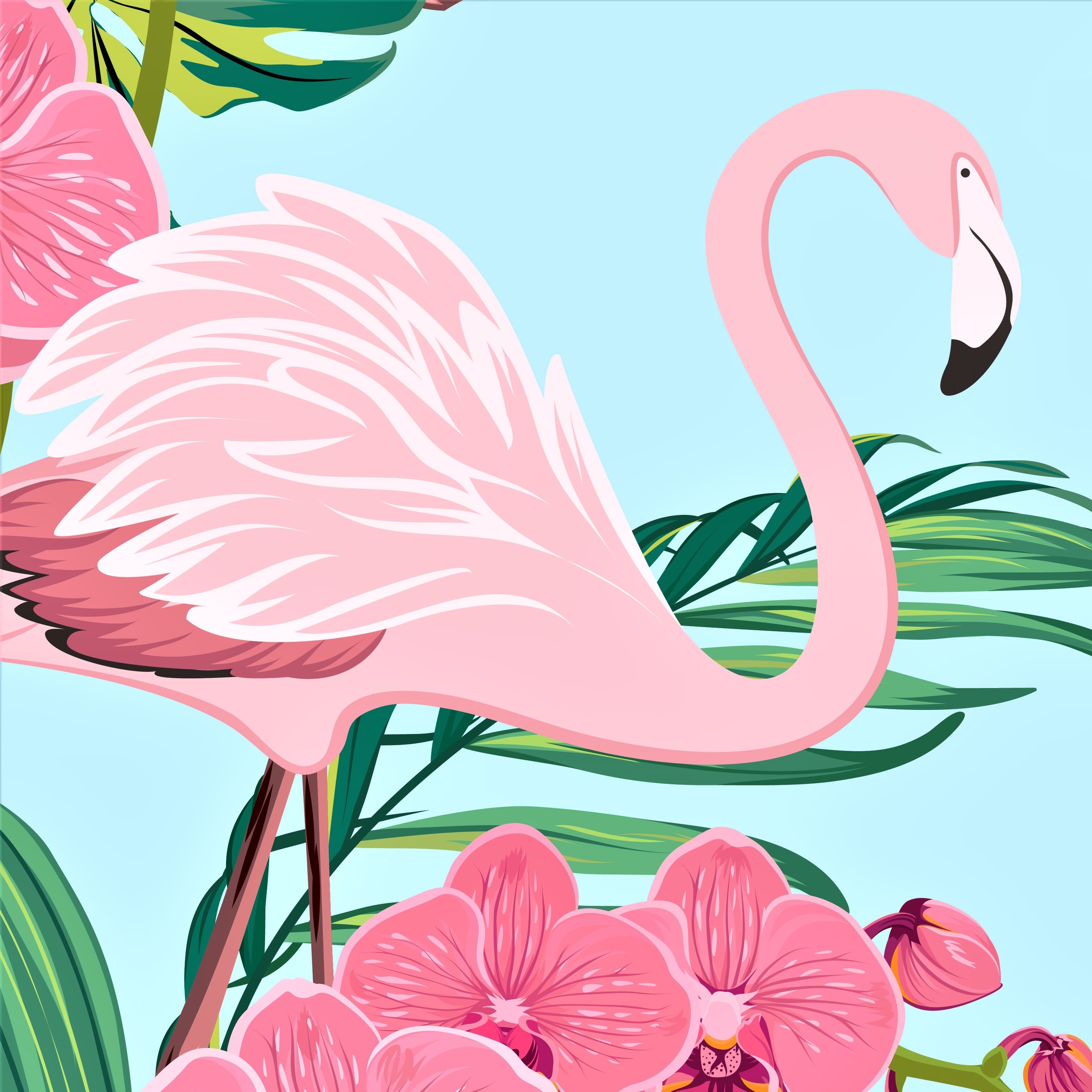 Фламинго живопись по номерам