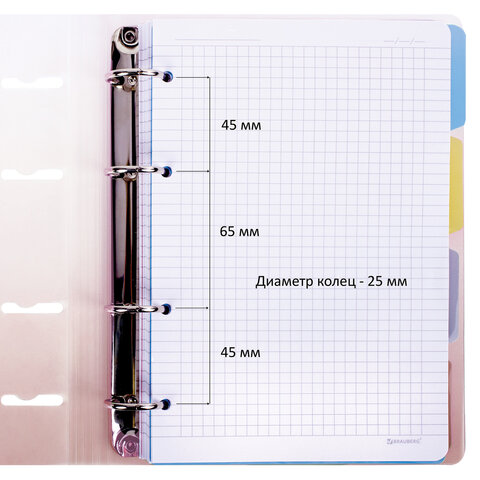 Тетрадь на кольцах А5 175х220мм, 120л, пластик, с разделителями, BRAUBERG,