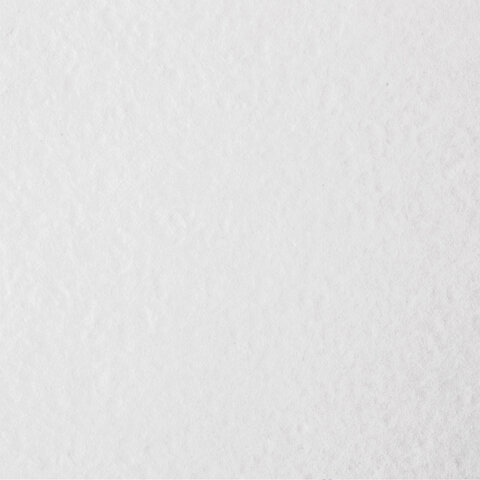 Бумага для акварели БОЛЬШАЯ А3 в коробке, 40 листов, 200 г/м2, среднее зерно,