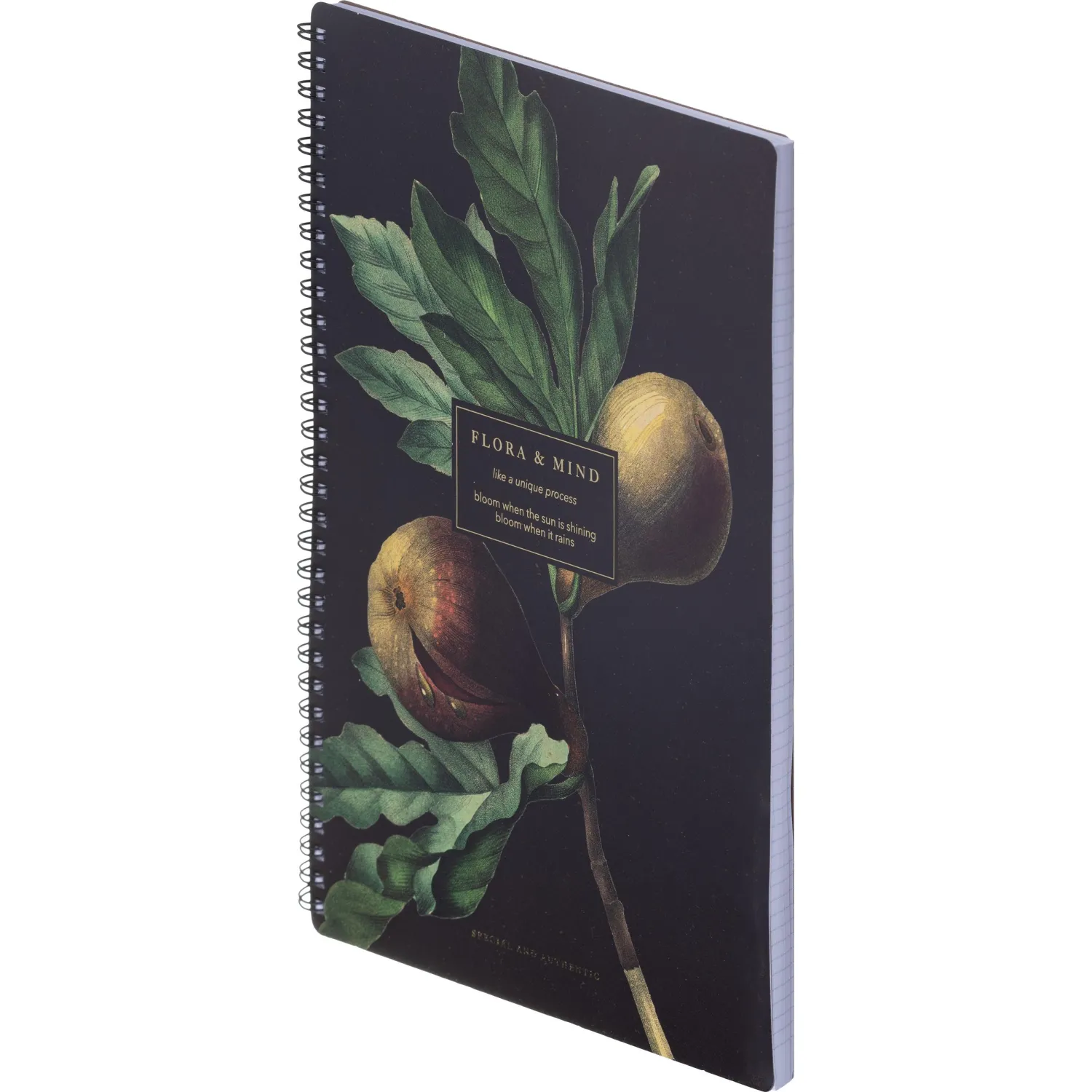 Бизнес-тетрадь, BS, А4, 96 листов, клетка, мягкий, спираль, Flora, инжир, N4283