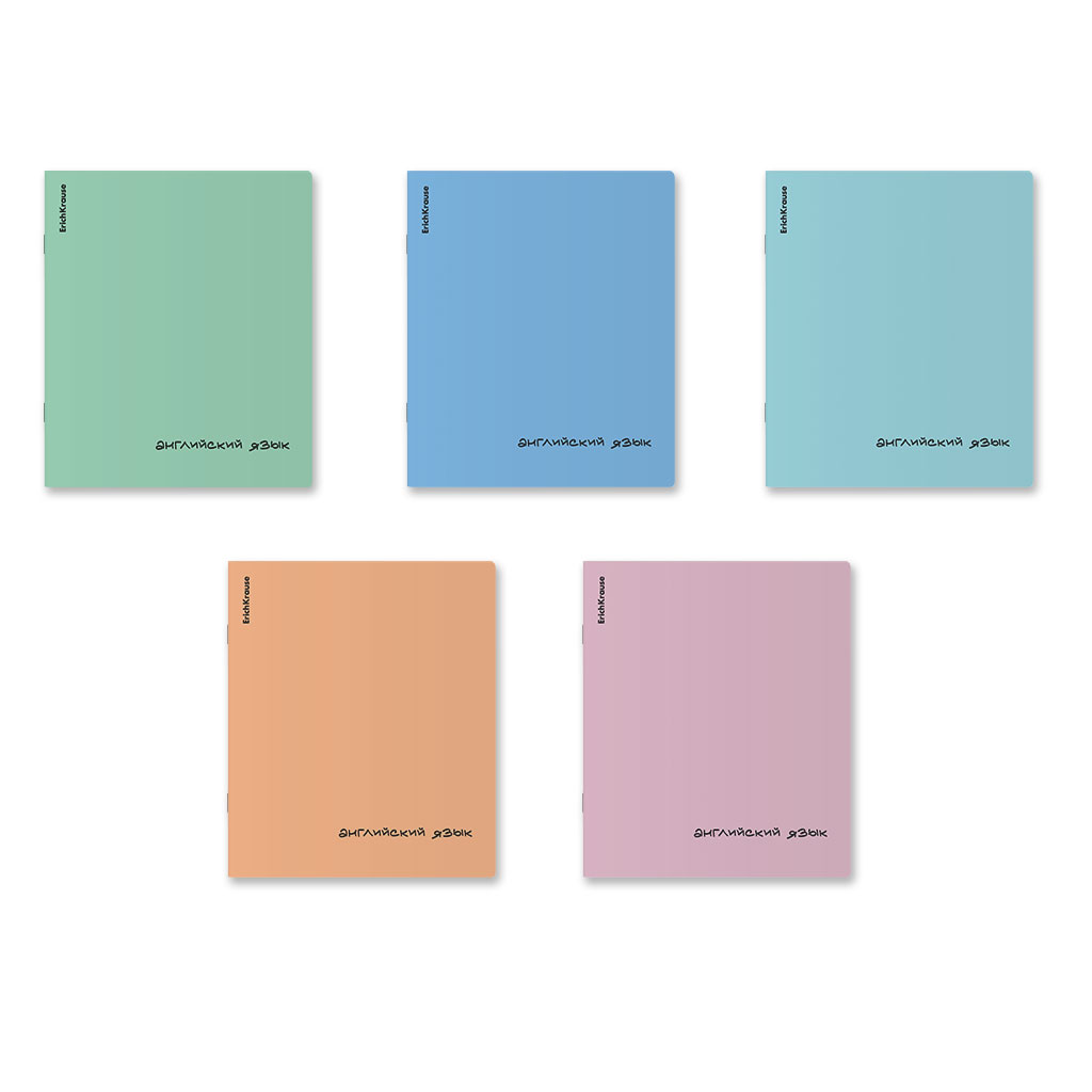 Тетрадь общая ученическая с пластиковой обложкой на скобе ErichKrause Dream, Тетрадь общая ученическая с пластиковой обложкой на скобе ErichKrause Dream,