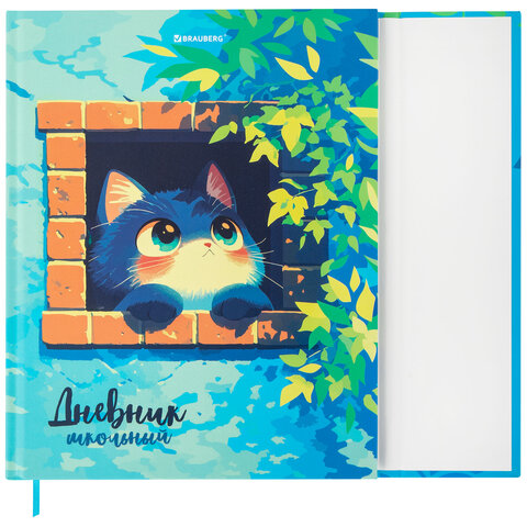 Дневник 1-11 класс 48 л., твердый, BRAUBERG, матовая ламинация, магнитный