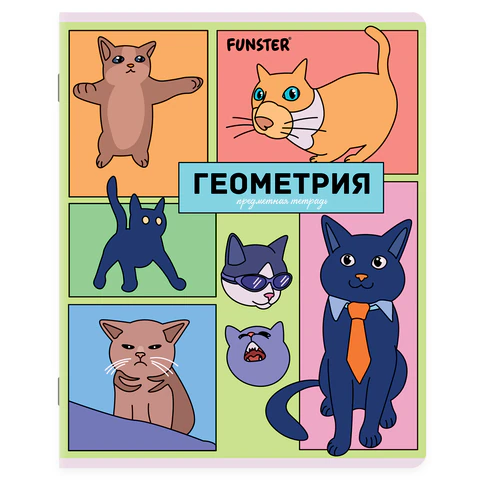 Тетради предметные, КОМПЛЕКТ 12 ПРЕДМЕТОВ, 48 л., TWIN-лак, FUNSTER (ФАНСТЕР),