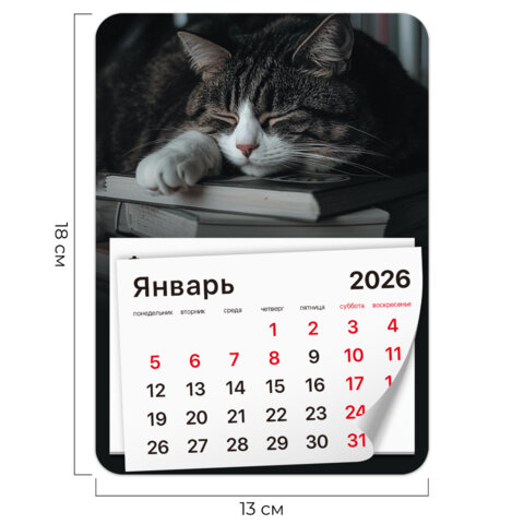 Календарь отрывной на магните на 2026 г., BRAUBERG, 130х180 мм, склейка,