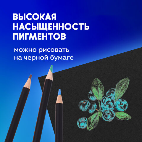 Карандаши художественные цветные BRAUBERG ART CLASSIC, 24 цвета, МЯГКИЙ грифель