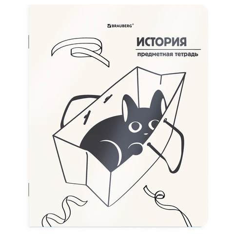 Тетрадь предметная КОТ-НЕПОСЕДА 48 л., пластиковая обложка, ИСТОРИЯ, клетка, Тетрадь предметная КОТ-НЕПОСЕДА 48 л., пластиковая обложка, ИСТОРИЯ, клетка,