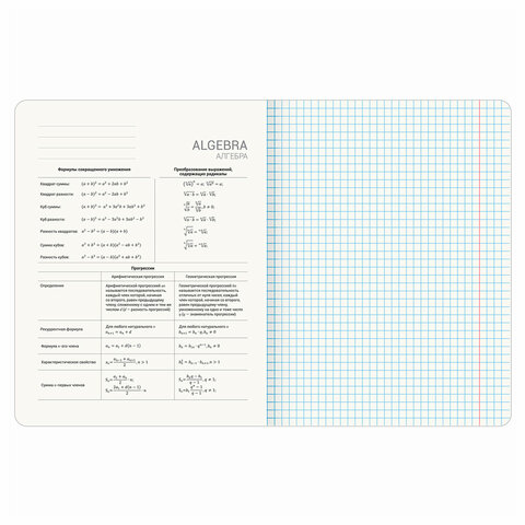 Тетради предметные, КОМПЛЕКТ 13 ПРЕДМЕТОВ, 48 л., матовая ламинация, BRAUBERG