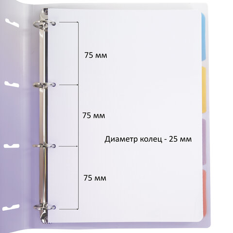 Тетрадь на кольцах БОЛЬШАЯ 305х230мм А4, 120л, пластик, с разделителями,