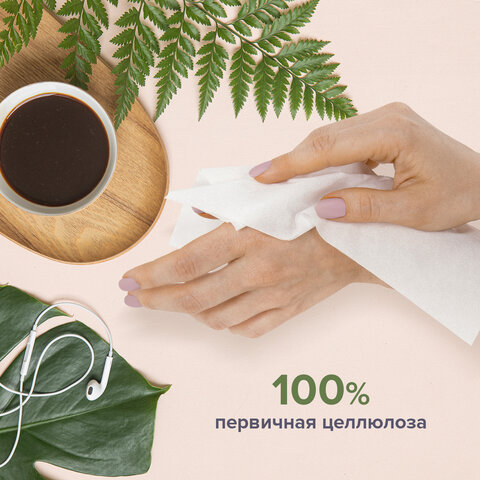 Салфетки косметические 100 шт. в картонном боксе 2-слойные, LAIMA