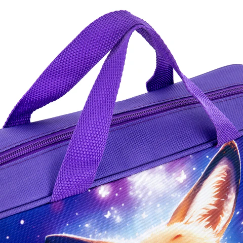 Папка на молнии с ручками BRAUBERG KIDS А4, 1 отделение, полиэстер, 80 мм,