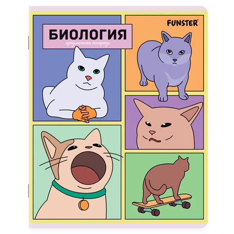 Тетради предметные, КОМПЛЕКТ 12 ПРЕДМЕТОВ, 48 л., TWIN-лак, FUNSTER (ФАНСТЕР),