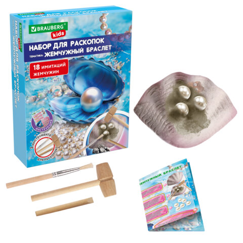 Набор для раскопок 17х21 см, инструменты, 6 видов ассорти, BRAUBERG KIDS, 665917 Набор для раскопок 17х21 см, инструменты, 6 видов ассорти, BRAUBERG KIDS, 665917
