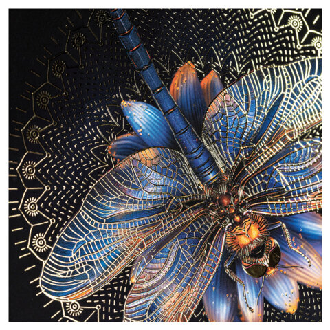 Тетрадь А5, 96 л., HATBER, скоба, клетка, матовая ламинация, 3D-фольга, Тетрадь А5, 96 л., HATBER, скоба, клетка, матовая ламинация, 3D-фольга,