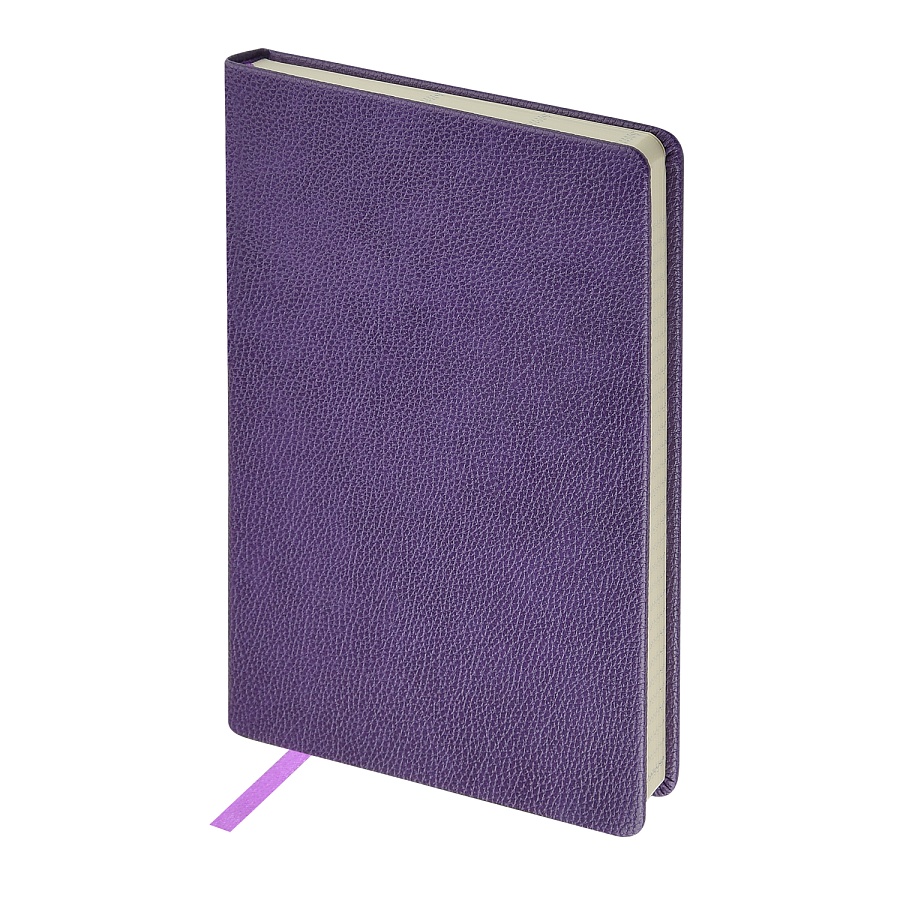 ЕЖЕДНЕВНИК А5 ДАТИРОВАННЫЙ "MEGAPOLIS LOFT" (ФИОЛЕТОВЫЙ) 2026 ЕЖЕДНЕВНИК А5 ДАТИРОВАННЫЙ "MEGAPOLIS LOFT" (ФИОЛЕТОВЫЙ) 2026