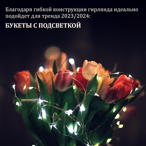Электрогирлянда-нить комнатная "Роса" 2 м, 20 LED, холодный белый