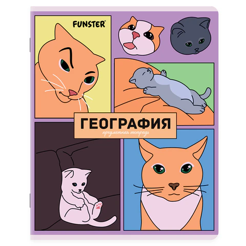 Тетради предметные, КОМПЛЕКТ 12 ПРЕДМЕТОВ, 48 л., TWIN-лак, FUNSTER (ФАНСТЕР),