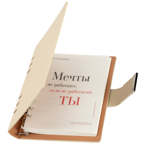 Ежедневник на кольцах в наборе с ручкой А5, 165x229 мм, BRAUBERG