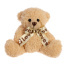 Мягкая игрушка «Любимый медвежонок»