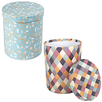 Коробка картонная цилиндр для цветов (d 17*22см) 76725