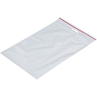 Пакет с замком (Zip Lock) с европодвесом 25 х 35 см, 60 мкм, 100 шт/уп