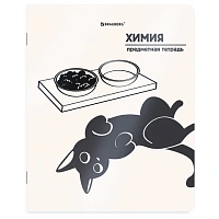 Тетрадь предметная КОТ-НЕПОСЕДА 48 л., пластиковая обложка, ХИМИЯ, клетка, подсказ, BRAUBERG, 405538